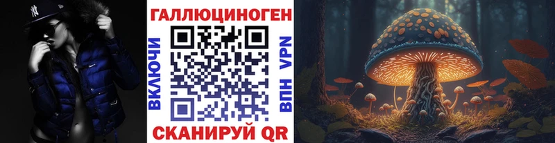 Галлюциногенные грибы Psilocybe  купить наркотики сайты  Правдинск 